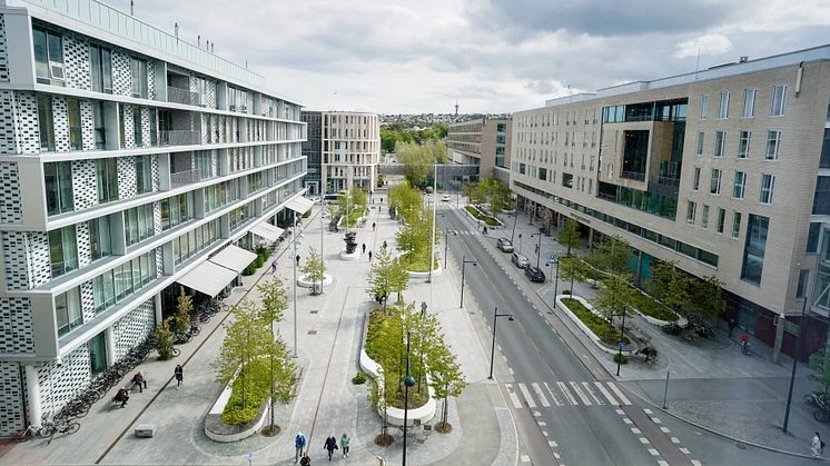 St. Olavs hospital i Trondheim er en egen medisinsk bydel. Foto: Geir Otto Johansen/St. Olavs hospital