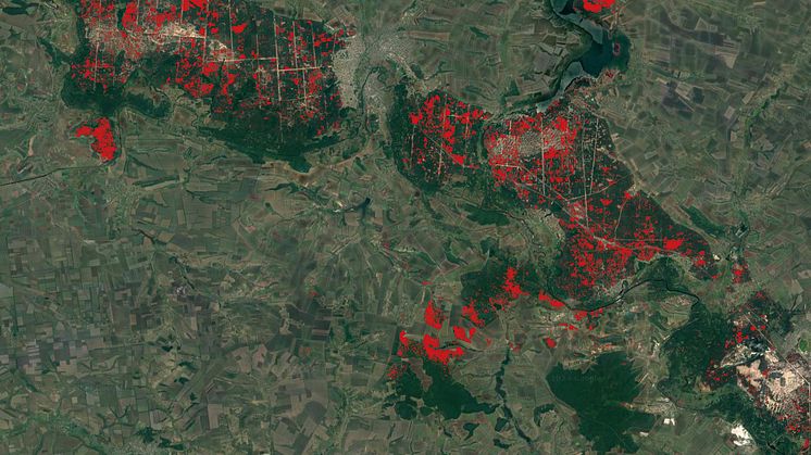 Satellitbild över skogsskador i östra Ukraina. 