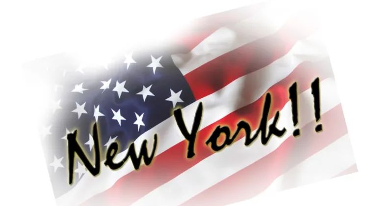 Studieresa till New York med fokus på platssamverkan, placemaking och brottsförebyggande arbete