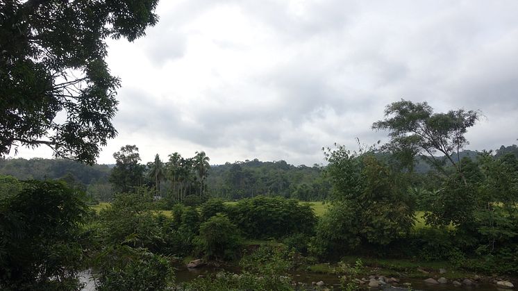 Bujang Raba, Sumatra Indonesien