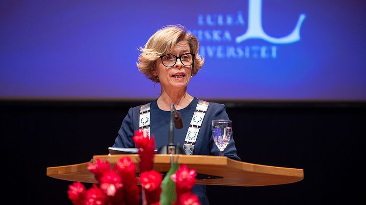 Birgitta Bergvall-Kåreborn, akademisk högtid 2019