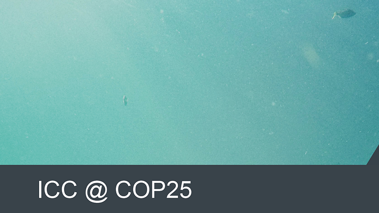 ​ICCs huvudbudskap under COP25: vi behöver snabbare och mer långtgående klimatåtgärder!
