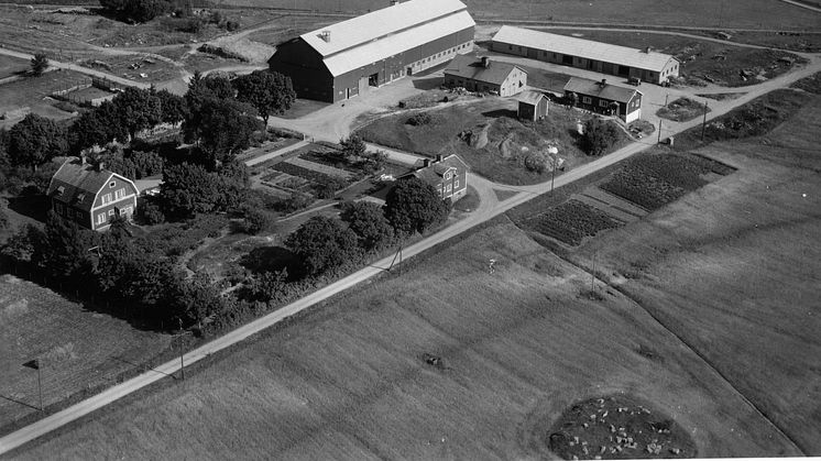 Tibble gård, 1949. 