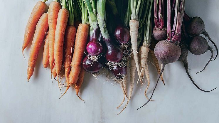 Variety of root garden vegetables - Azure.jpg