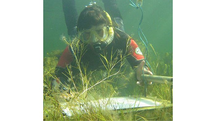 ​Dykare rengör snorklingsleden i Kollevik