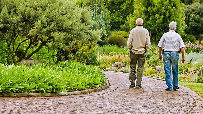 EXPERT COMMENT: Walking can relieve leg pain in people with peripheral artery disease