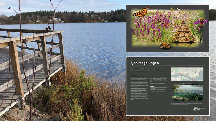 Nybyggda trädäck längs Magelungens strand i Stockholm. De nya informationsskyltar som sätts upp under våren ska berätta för områdets besökare om växt- och djurlivet vid stranden. 