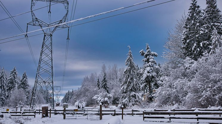 Kommer vintervädret att fortsätta? // veckans kommentar om elmarknaden v. 2. 2021