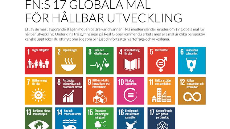 Real Global är Sveriges första gymnasieskola där utbildningen baseras på FN:s 17 Globala mål för hållbar utveckling.