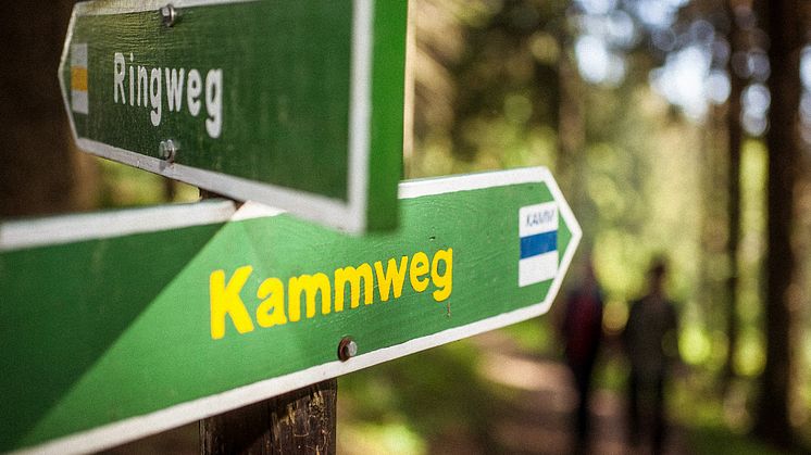 Kammweg Erzgebirge- Vogtland