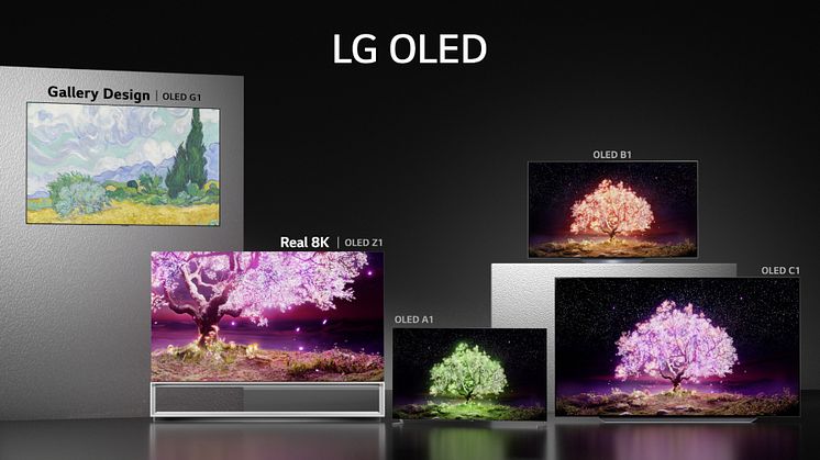 LG OLED Lineup