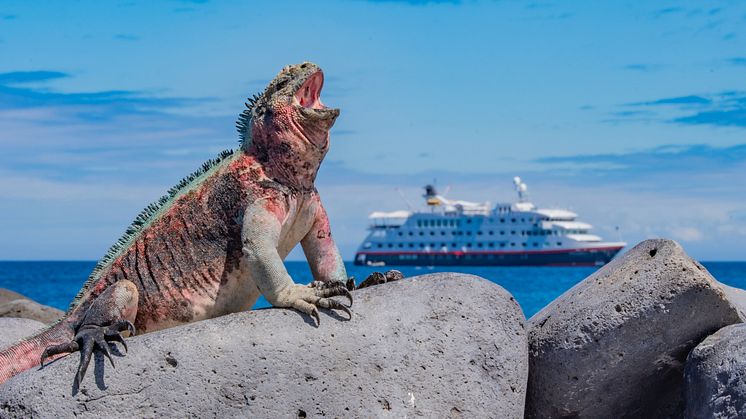 Hurtigruten Expeditions Celebrates Travel Advisor Appreciation Week with Galápagos Incentive