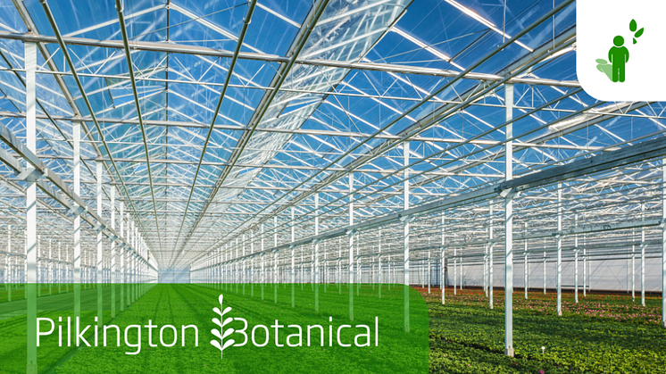Pilkington Botanical™-serien består af glasbaserede løsninger, der fokuserer på at øge væksten af afgrøder.