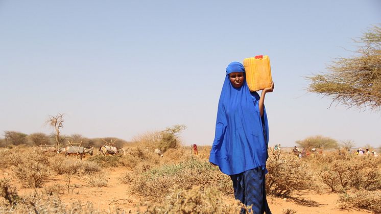 Åttabarnsmamman Hoodo bär hem vatten från Rädda Barnens vattendistribution utanför Burao, Somaliland. Foto:Rädda Barnen 