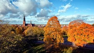 Tryggare Sverige inleder samarbete med Uppsala universitet kring offentlig-privat platssamverkan