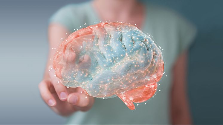 Graphene Flagship spin-off INBRAIN Neuroelectronics develops intelligent graphene-based neural implants for personalised therapies in brain disorders. 