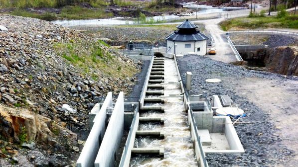 HaV föreslår nationell plan för miljövänligare vattenkraft
