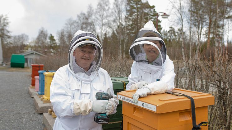 Rektor Hans Adolfsson och forskaren Natuschka Lee monterar namnskylten på en av bikuporna vid Umeå universitet. Foto: Mattias Pettersson