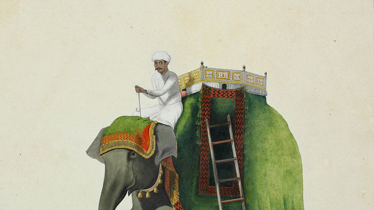 Indian drawing from Benjamin Wolff's collection