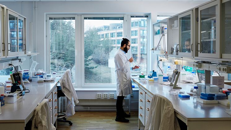 Över 600 personer diagnosticeras med multipelt myelom i Sverige varje år. Foto: Johnér Bildbyrå