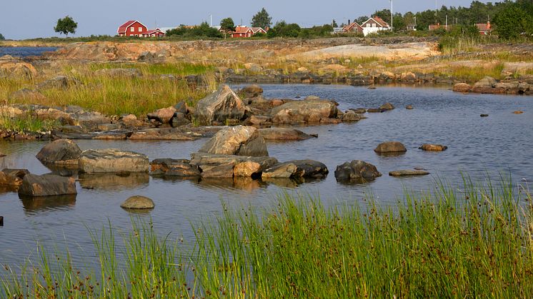 Hav ger 3,9 miljoner för att skydda havsvikar i Stockholms skärgård