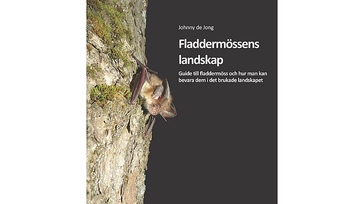 Ny bok om fladdermössen och deras landskap