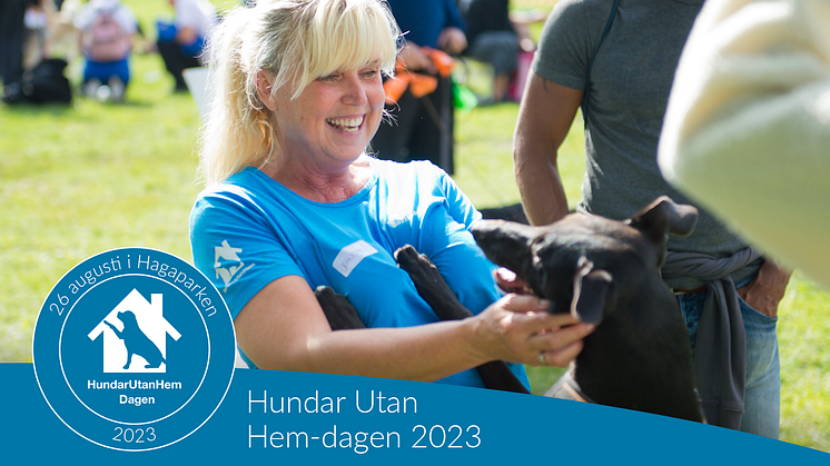 Hundar Utan Hem-dagen i Stockholm - En dag full av kärlek och hjälp för hemlösa hundar