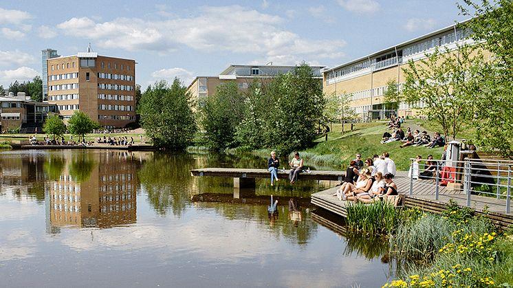 Många studenter söker sig till Umeå universitet. Foto: Elin Berge