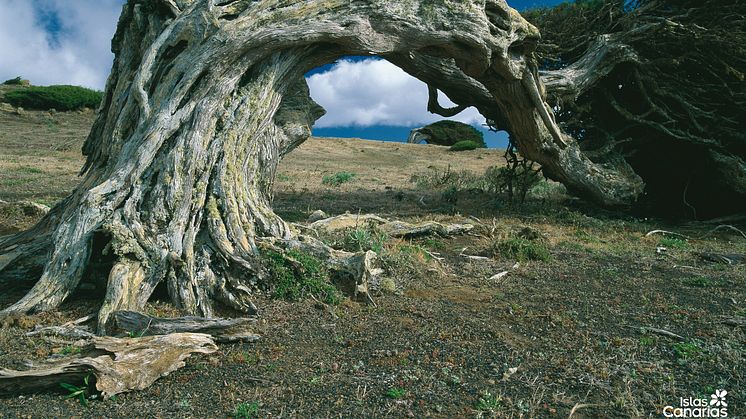 Øen El Hierro belv i går kåret som den mest bæredygtig ø i verden.