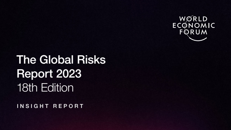 Global Risks Report 2023_final.pdf