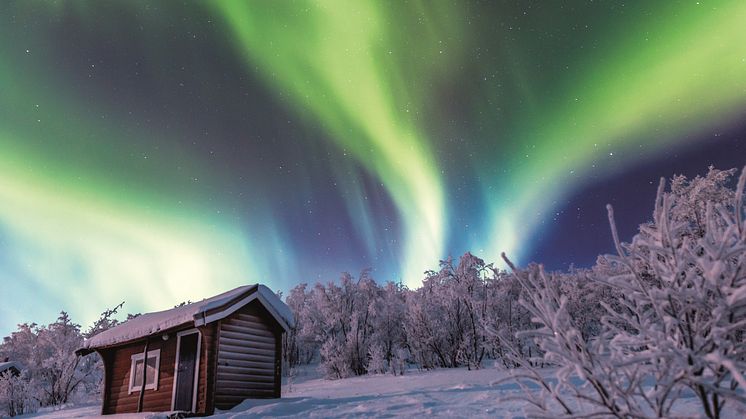 Norway - Northern Lights in Alta - low res.jpg
