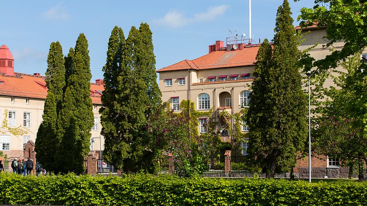 Antalet antagna till Högskolan Kristianstad till hösten är 13 015 personer, det högsta någonsin.