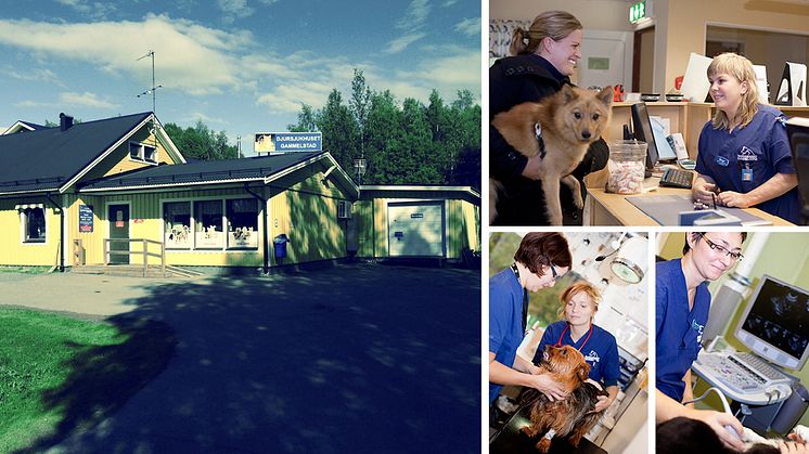 Djursjukhuset Gammelstad blir en del av Evidensia