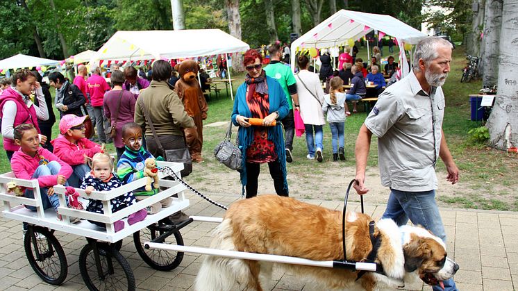 Tag der offenen Tür im Kinderhospiz: Bärenherz-Familienfest lockt rund 1.000 Besucher in den Kees’schen Park