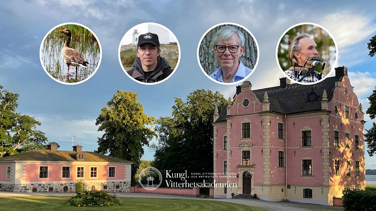 Söndagen den 20 augusti genomförs en temadag om fåglar i konsten och i naturen på Skånelaholms slott, norr om Upplands Väsby.