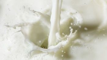Arla Foods amba confirms April milk price