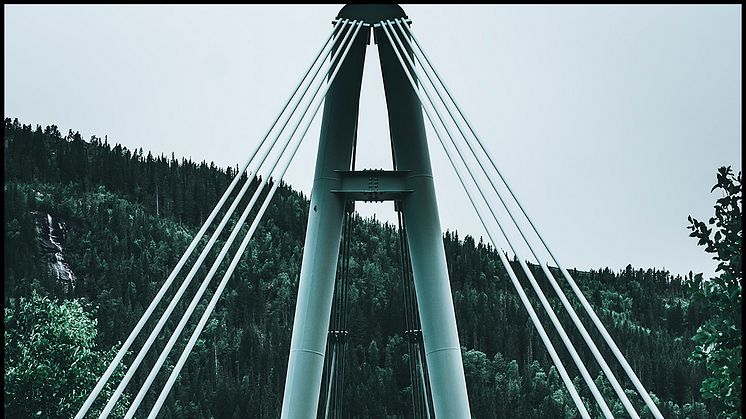 Bridge tavla