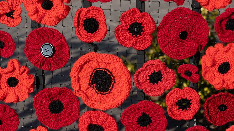 Go North East launches appeal for volunteers to knit or make poppies