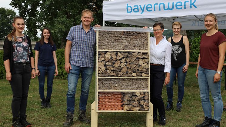 Beim Aktionstag zum Bau von Bienenhotels setzen sich Trainees und Führungskräfte des Bayernwerks für Arten- und Umweltschutz ein.