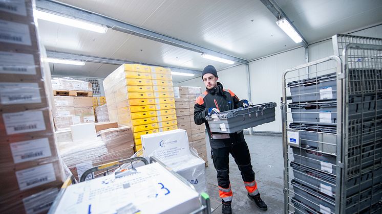 Jakob Ek vid Luleå mejeri rangerar frysta varor som levereras till kunder i Norrbotten tillsammans med andra kylda livsmedel. Foto: Per Lundström