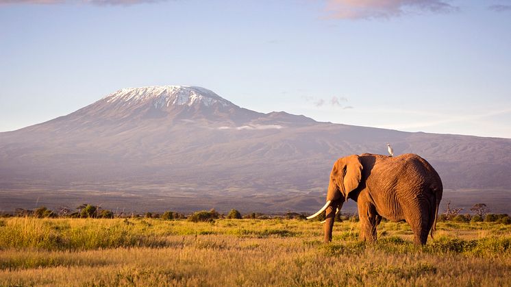 Off to Kilimanjaro in Tanzania with Eurowings Discover