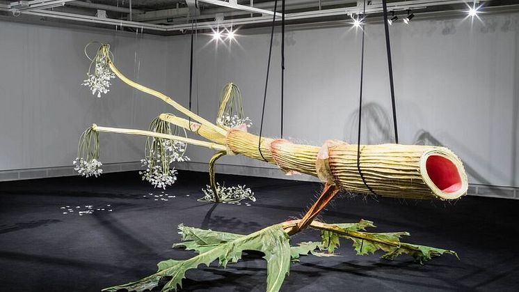 Ingela Ihrman, installation view of The Giant Hogweed, 2015, Future Flourish, Tensta Konsthall, Stockholm