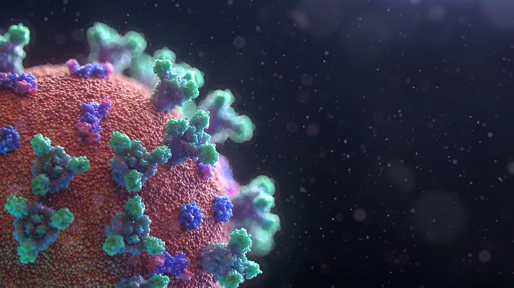 Visualisering av coronaviruset.