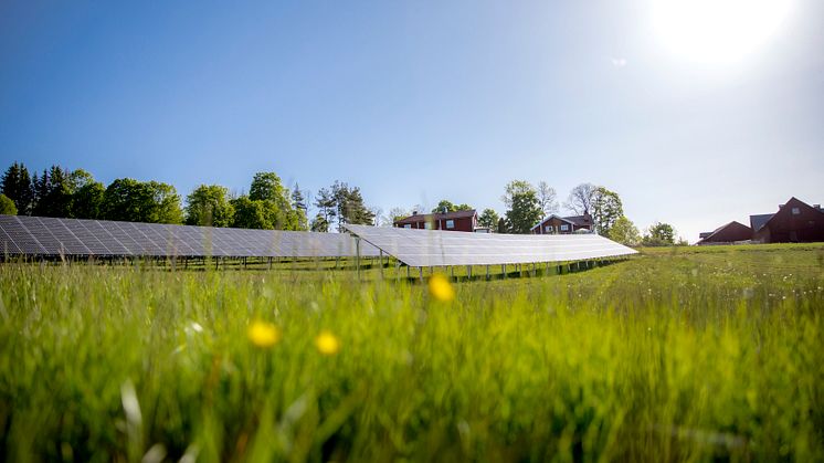 Solhagen i Torphyttan, Örebro läns största markförlagda solpark. Foto: Linde energi