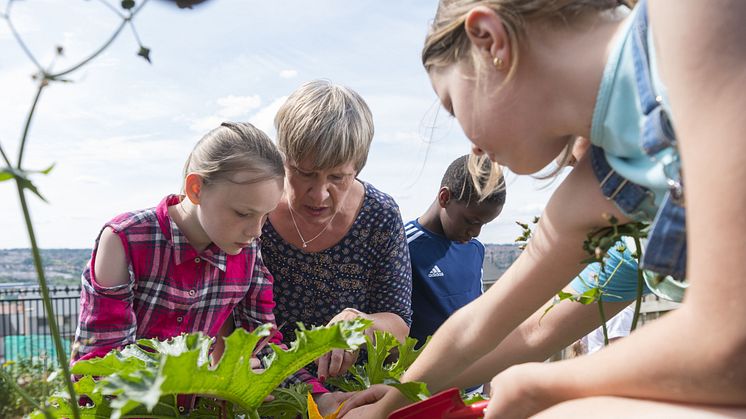 Prof. Greta Defeyter with children growing vegetables in an allotment at Bridgewater Primary School holiday club