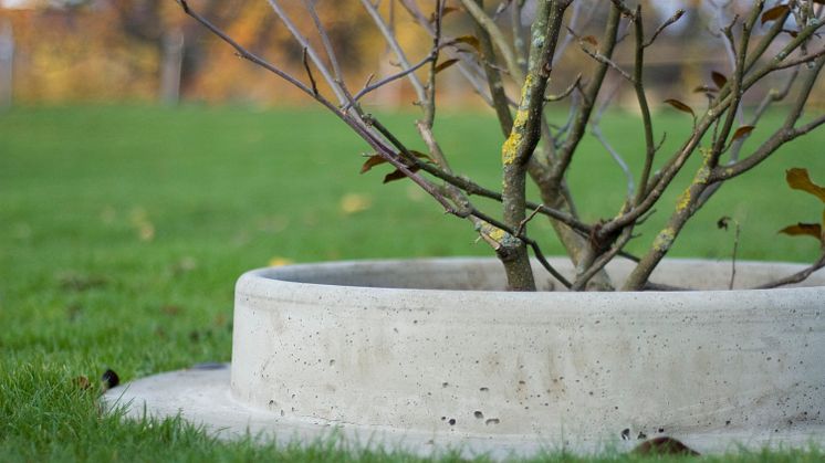 Årets Trädgårdsprodukt 2017 är planteringsringen i betong. Foto: Samuel Lindahl, Brandidentity