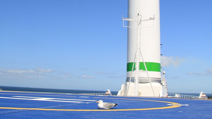 Rotor sail seagull