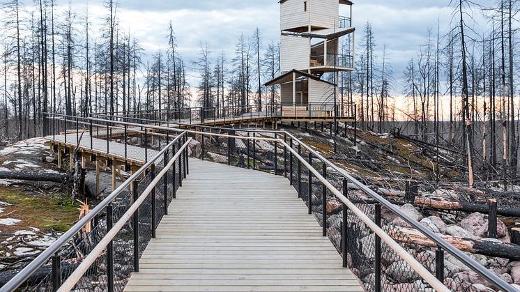 Hälleskogsbrännan nominerad till Sveriges Arkitekters Sienapris