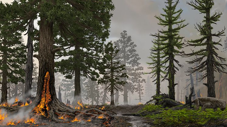 Under jordens värsta massutdöende drabbades stora våtmarker av skogsbränder och världens största kolsänkor omvandlades till kolkällor. Bild Victor O. Leshyk.