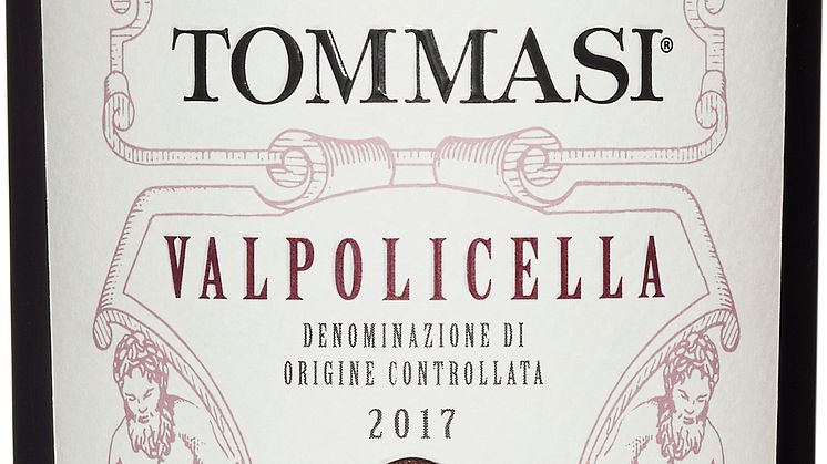 7238301 Tommasi Valpolicella